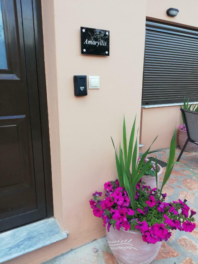 Dimitra - Loft Apartments Corfu  Exterior photo